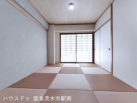 和室6.0帖
