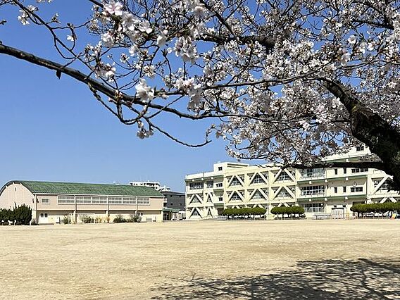 大池小学校 9...