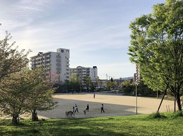 画像16:熊野田公園（3706m）