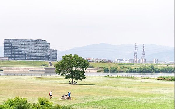 画像22:淀川河川公園（3691m）