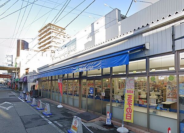 画像18:マルハチ立花店（318m）