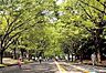 周辺：駒沢オリンピック公園 徒歩12分。 940m