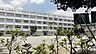 周辺：世田谷区立三軒茶屋小学校 徒歩4分。 290m