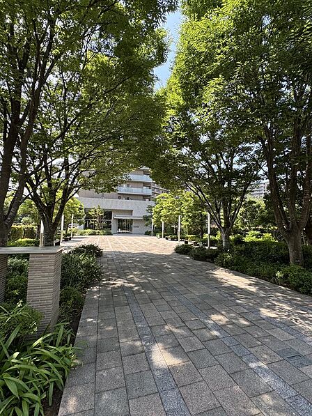 けやき並木が続くアプローチの先に、マンションのエントランスが構えています。木陰が心地よく、緑を眺めながら帰宅できる落ち着いたたたずまいがご家族を迎えてくれます。植栽も丁寧に手入れされている印象です。