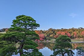 南春日丘日野山荘  ｜ 大阪府茨木市南春日丘6丁目（賃貸アパート3DK・2階・49.00㎡） その29