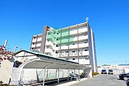 トゥリートップ