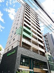 Pond Mum HAKATA