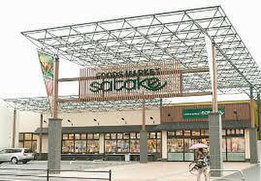 画像19:【スーパー】Foods Market SATAKE(フーズマーケットサタケ) 久宝寺駅前店まで901ｍ