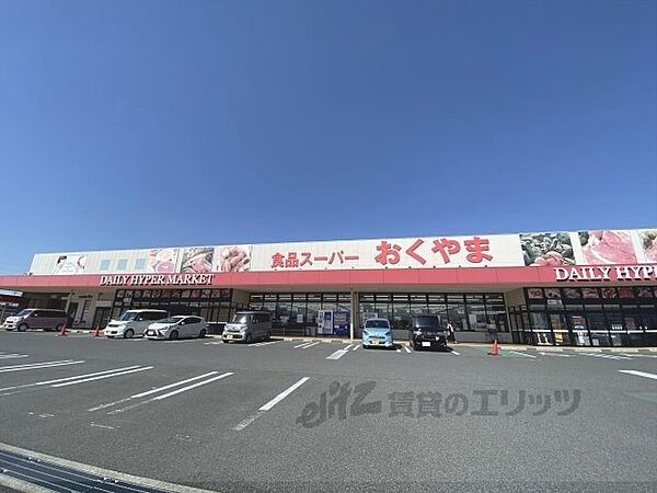 画像2:スーパーおくやま　高田店まで700メートル