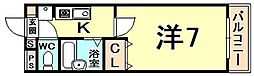 ステラライト20 1Kの間取図画像