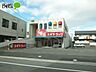 周辺：スギ薬局井田店 454m