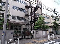 【小学校】目黒区立中根小学校まで818ｍ