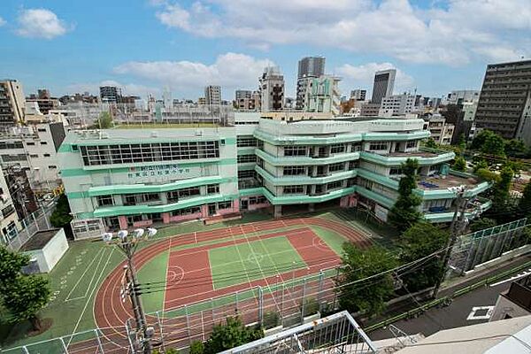 画像25:【小学校】台東区立松葉小学校まで690ｍ