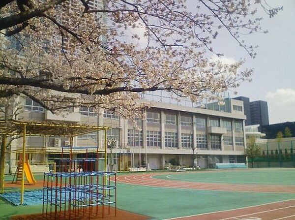 画像18:【小学校】中央区立豊海小学校まで190ｍ