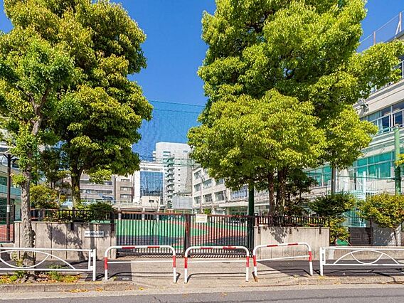 墨田区立両国小...