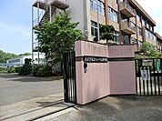 中学校 1450m 八王子市立ひよどり山中学校