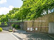 中学校 1300m 川崎市立南菅中学校