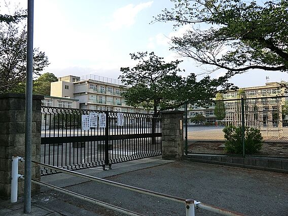 小学校 350...