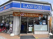ローソン 鶴橋三丁目店（450m）