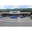 スーパー「デリシア宮川店まで581ｍ」