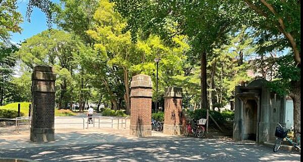 画像30:【公園】松戸中央公園まで1251ｍ