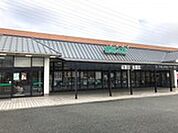 主婦の店