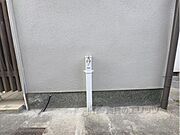 蛇口