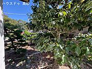 家庭菜園・園芸可能！生活に彩りをプラス！