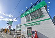 ザグザグ加古川平岡店（351m）