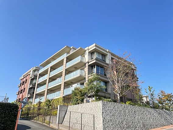 どこよりも美し...