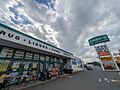 エバグリーン ...
