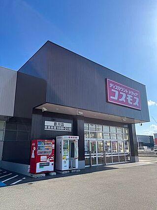コスモス 直川...
