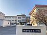 周辺：桜島小学校合計：665名　【2023年11月時点】学年ごとにクラス3~4 150m