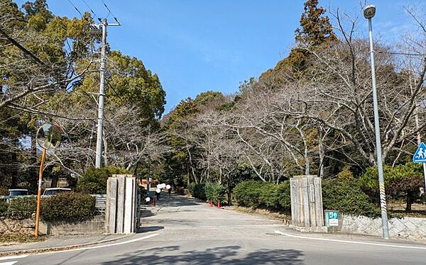 周辺を拡大表示