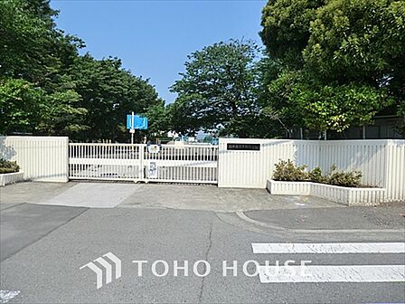 府中市立小柳小学校 距離約300m