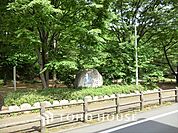 小宮公園 距離約500m