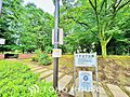 イチョウ公園 ...