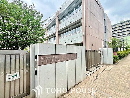 世田谷区立上北沢小学校 距離約800m