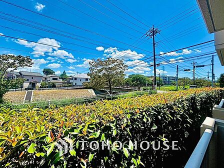 その豊かな眺望にふさわしい空間には、通風・採光にも優れ、心地よい光と風があふれています。