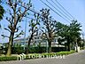 周辺：立川市立立川第一中学校 距離約900m