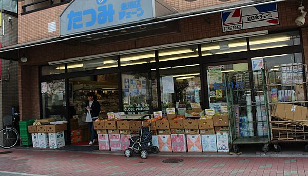 コンフォリア豊洲 ｜東京都江東区枝川１丁目(賃貸マンション1LDK・8階・39.52㎡)の写真 その18