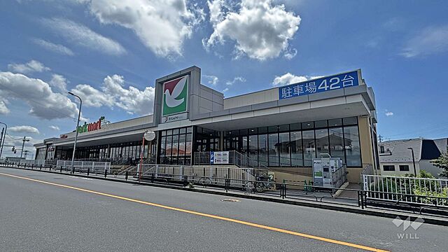 周辺 ライオンズマンション青戸第5 1階/-