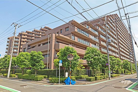 トーキョーガー...