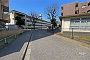 敷地南側の前面道路（東側から）