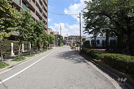 敷地北側の前面道路