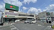 マルエツ(東新小岩店)の外観