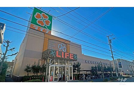 ライフ(大谷田店)の外観