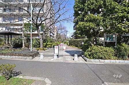 敷地北西側の遊歩道(北東側から)