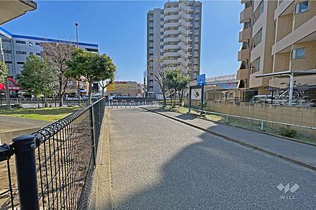 敷地の西側道路(南側から)