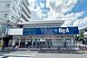周辺：Big・A(葛飾南水元店)の外観